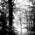La part de l'ombre
